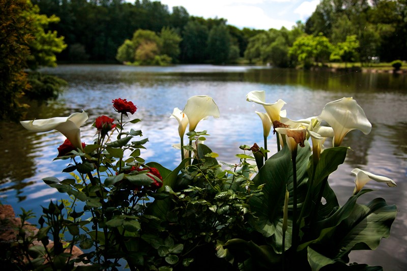 Domaine du Roi Kysmar - photo 5