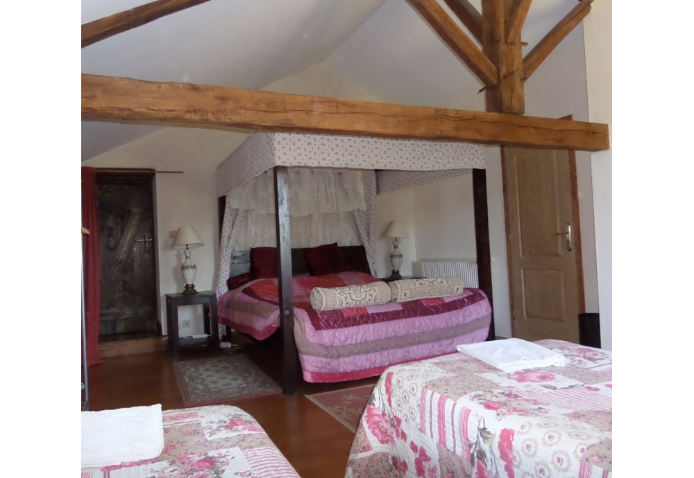 La Roseraie, Romagne - photo 7