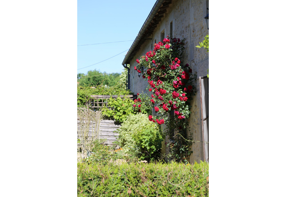 La Roseraie - photo 5