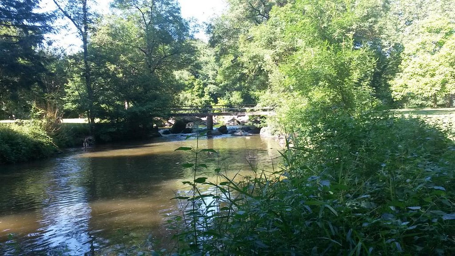 Hôtel-Restaurant "Chez Seb et Claire", Mauléon - photo 8