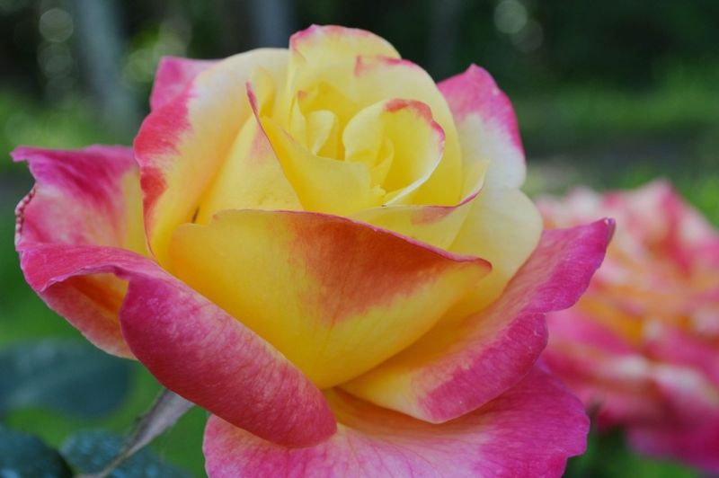 Parc Eden et Sens, Ginestet - photo 2