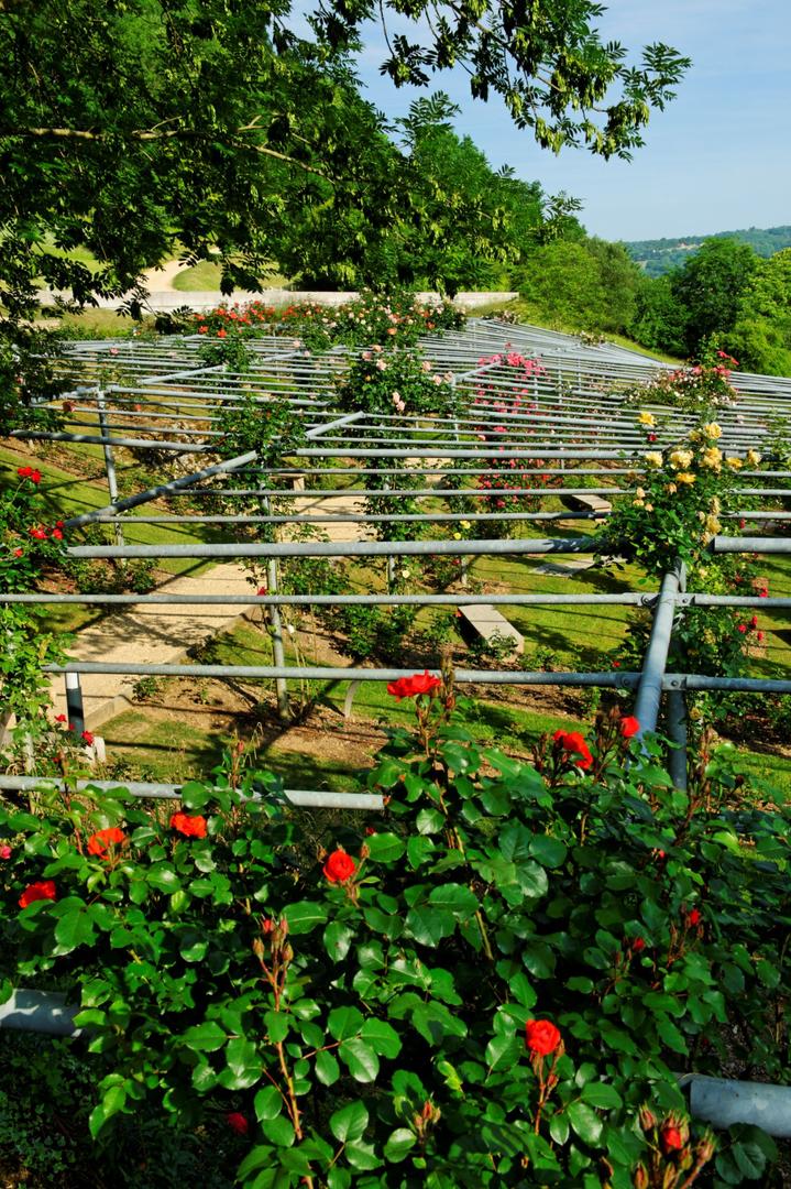 Les Jardins de l'Imaginaire, Terrasson-Lavilledieu - photo 5