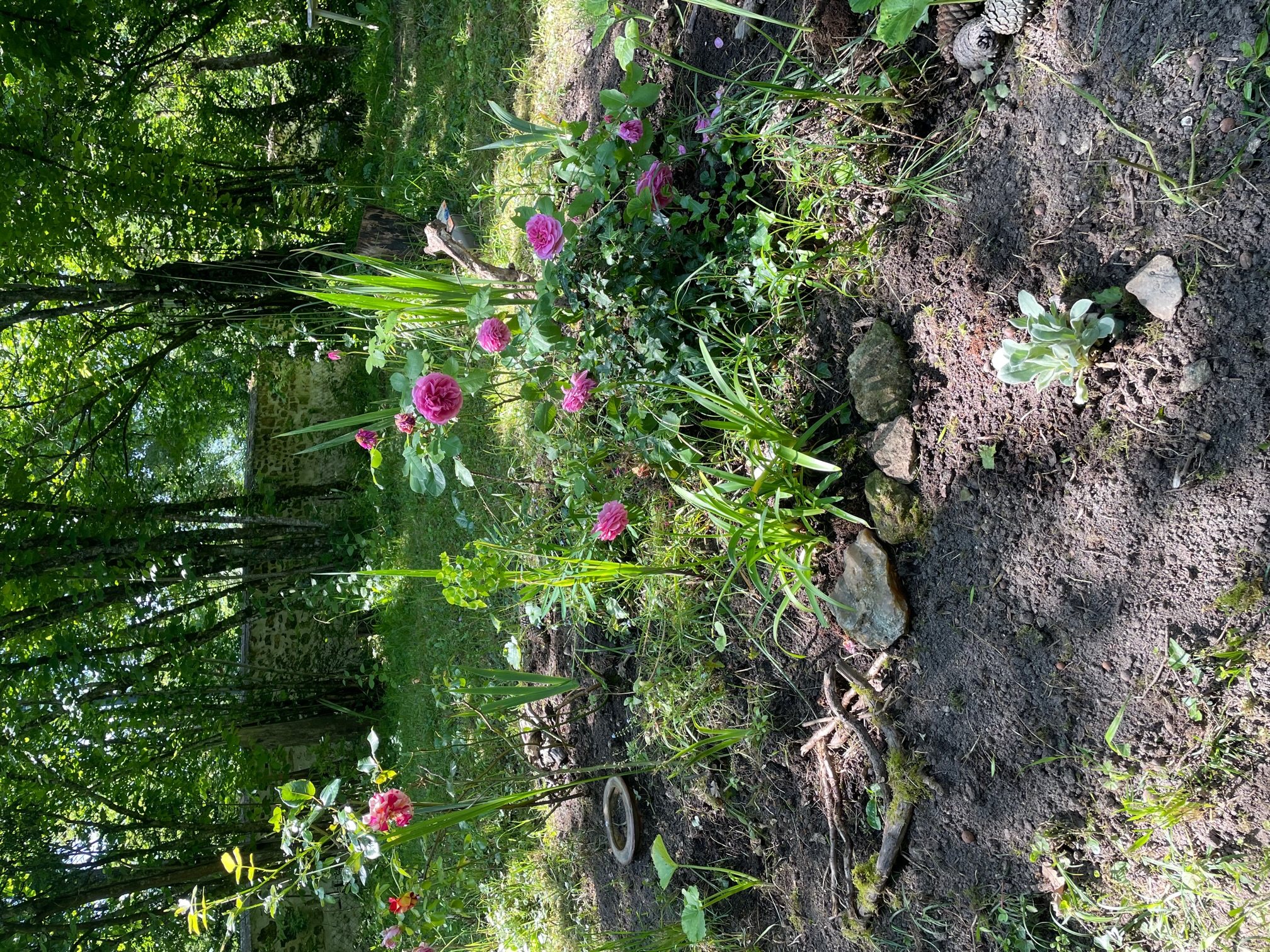Les apparts de Céline - Rez-de-Chaussée, La Roche-Posay - photo 10