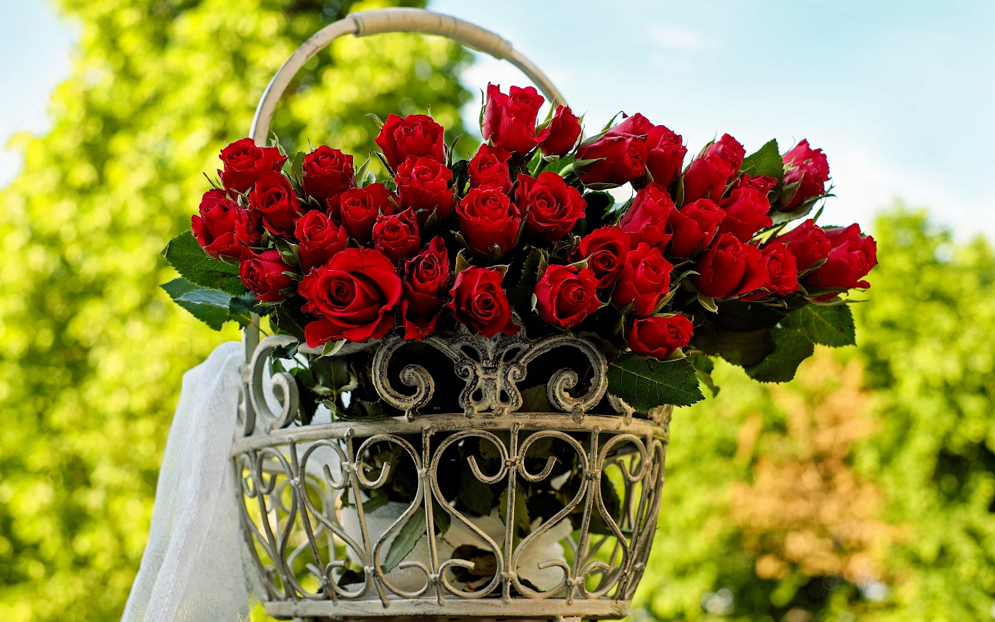 Aire de camping-cars Etche Gochoki, Espès-Undurein - photo 3