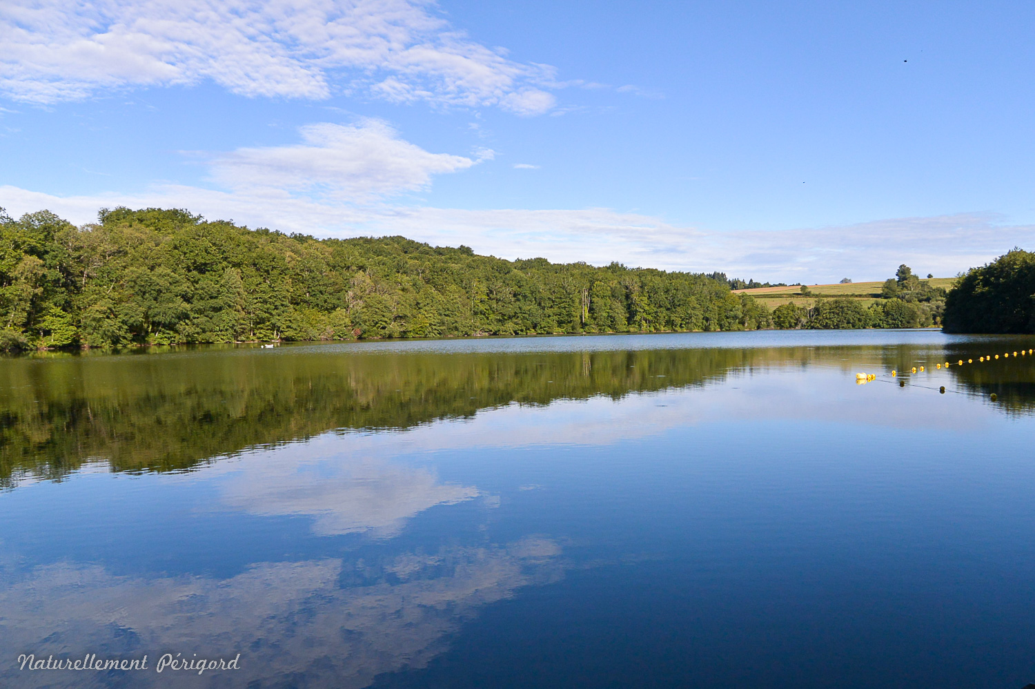 Circuit VTT Naturellement Périgord n°8 bleu, Angoisse - photo 3