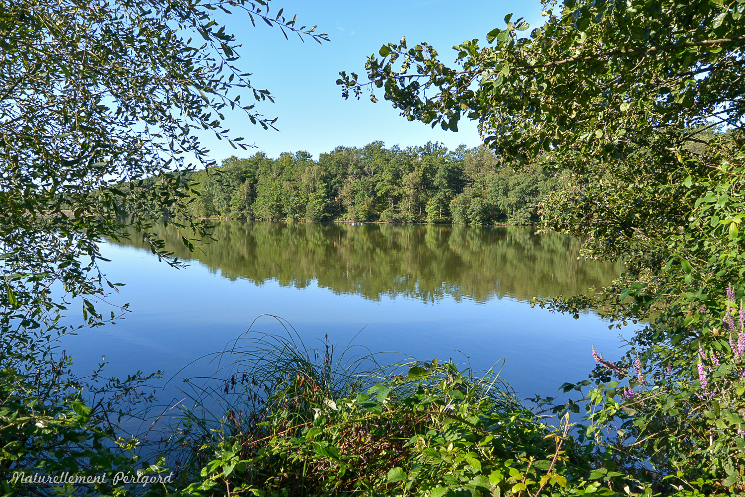 Circuit VTT Naturellement Périgord n°10 rouge