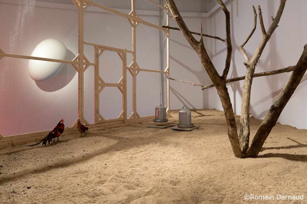 Centre d'Art Contemporain Rurart, Rouillé - photo 2