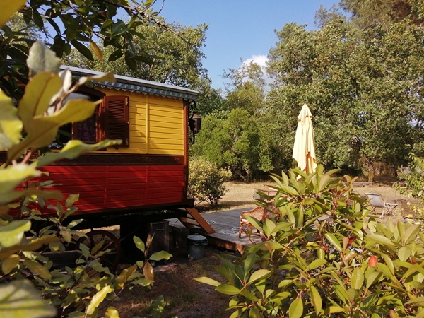 Mani Roulotte, Trensacq - photo 5