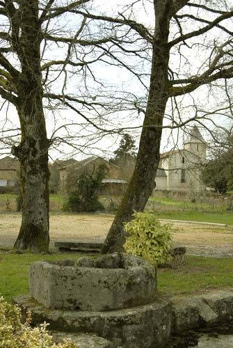 Sentier des Bruyères, Saint-Pardoux-le-Lac - photo 4