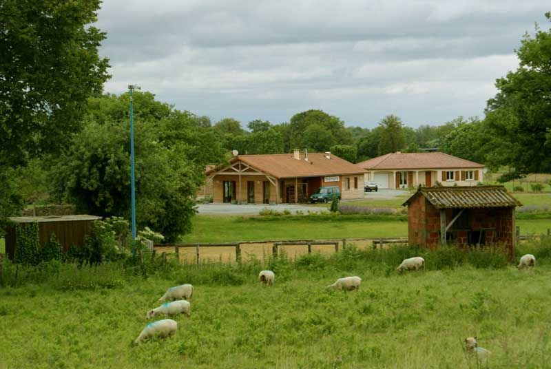 Sentier des Bruyères, Saint-Pardoux-le-Lac - photo 3