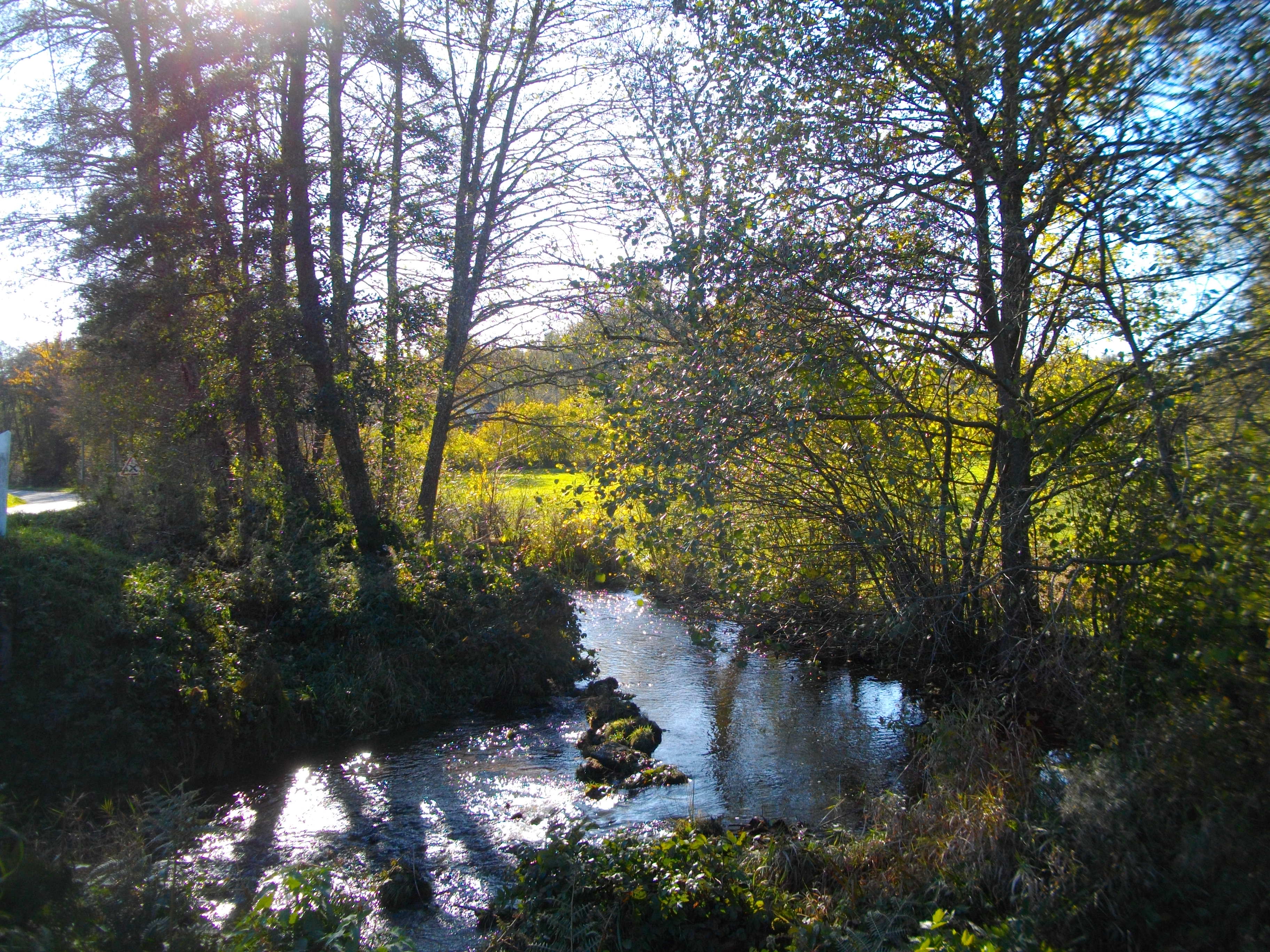 Le Puy du Couteau - 5 km - photo 3
