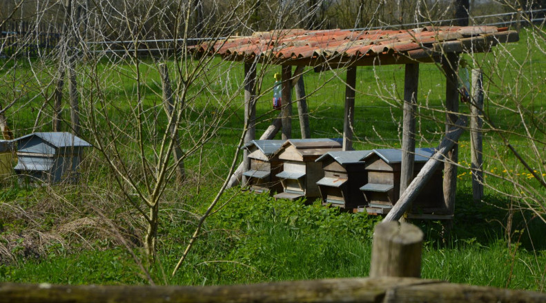 La Berlière - Gîte nature, Saint-Pardoux-Soutiers - photo 8