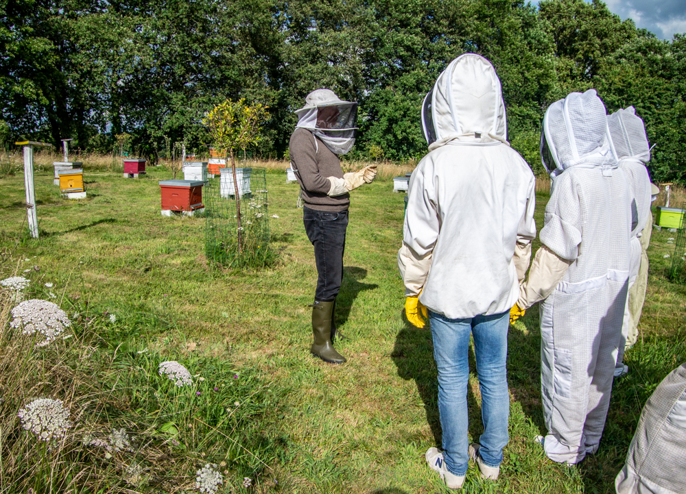 Visite du Rucher d'Artémis, Lanouaille