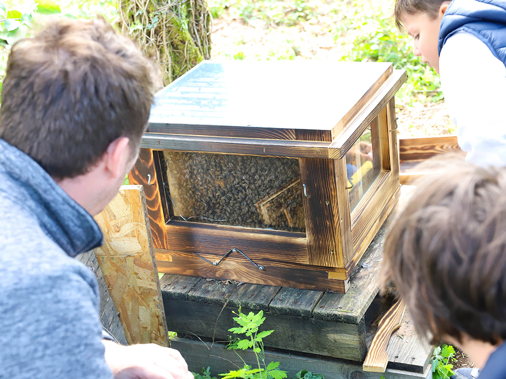 Visite d'un rucher et sa miellerie, Marcheprime - photo 3