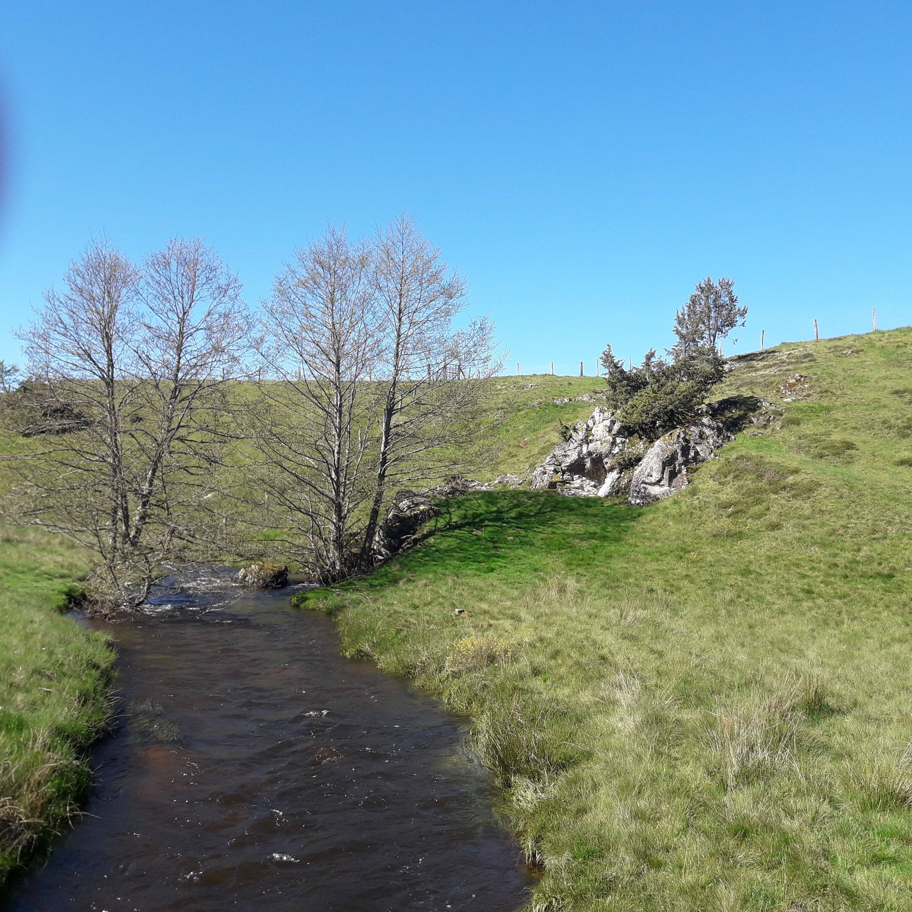 VTT - La Méouzette - 11 km - circuit 64, Laroche-près-Feyt - photo 5