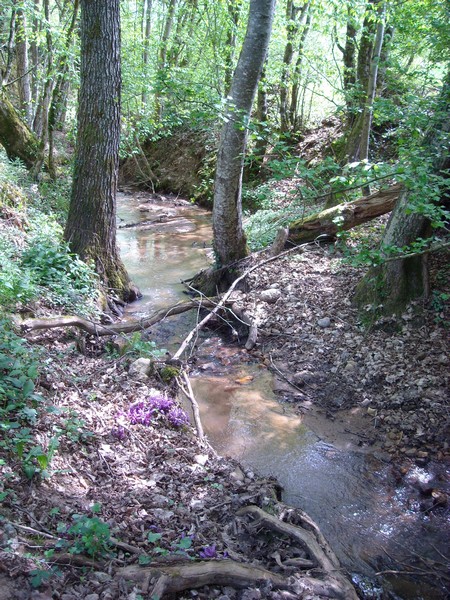 Chemin de la Queyrille, Queyssac-les-Vignes - photo 25