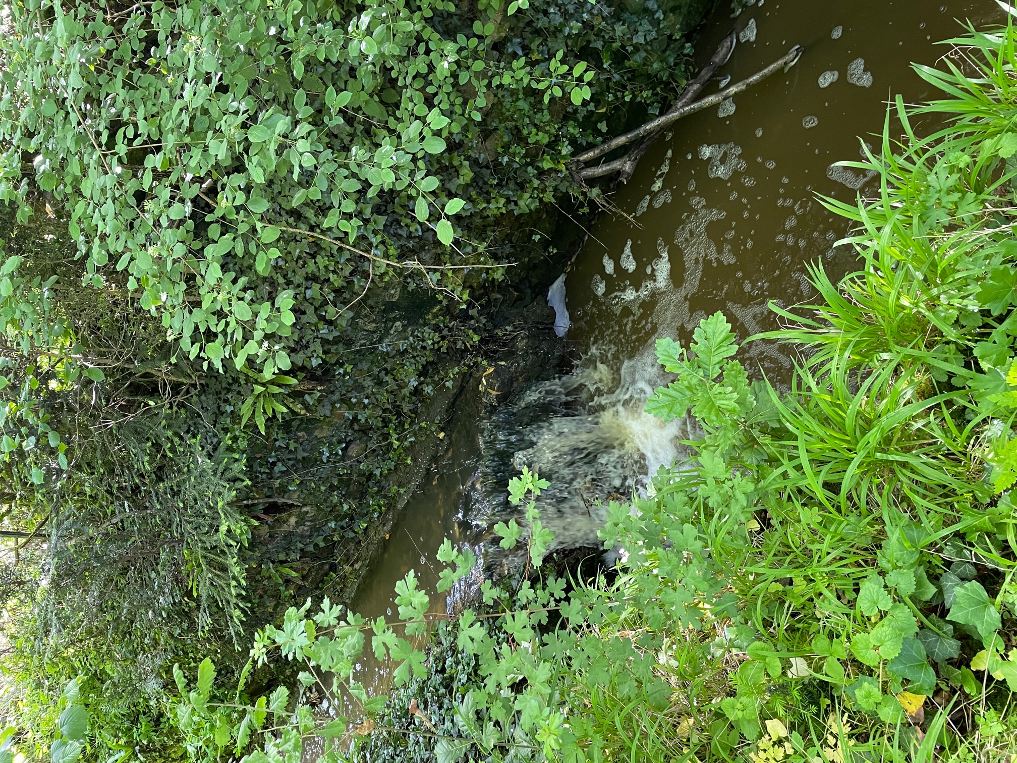 Les apparts de Céline - Rez-de-Chaussée, La Roche-Posay - photo 8