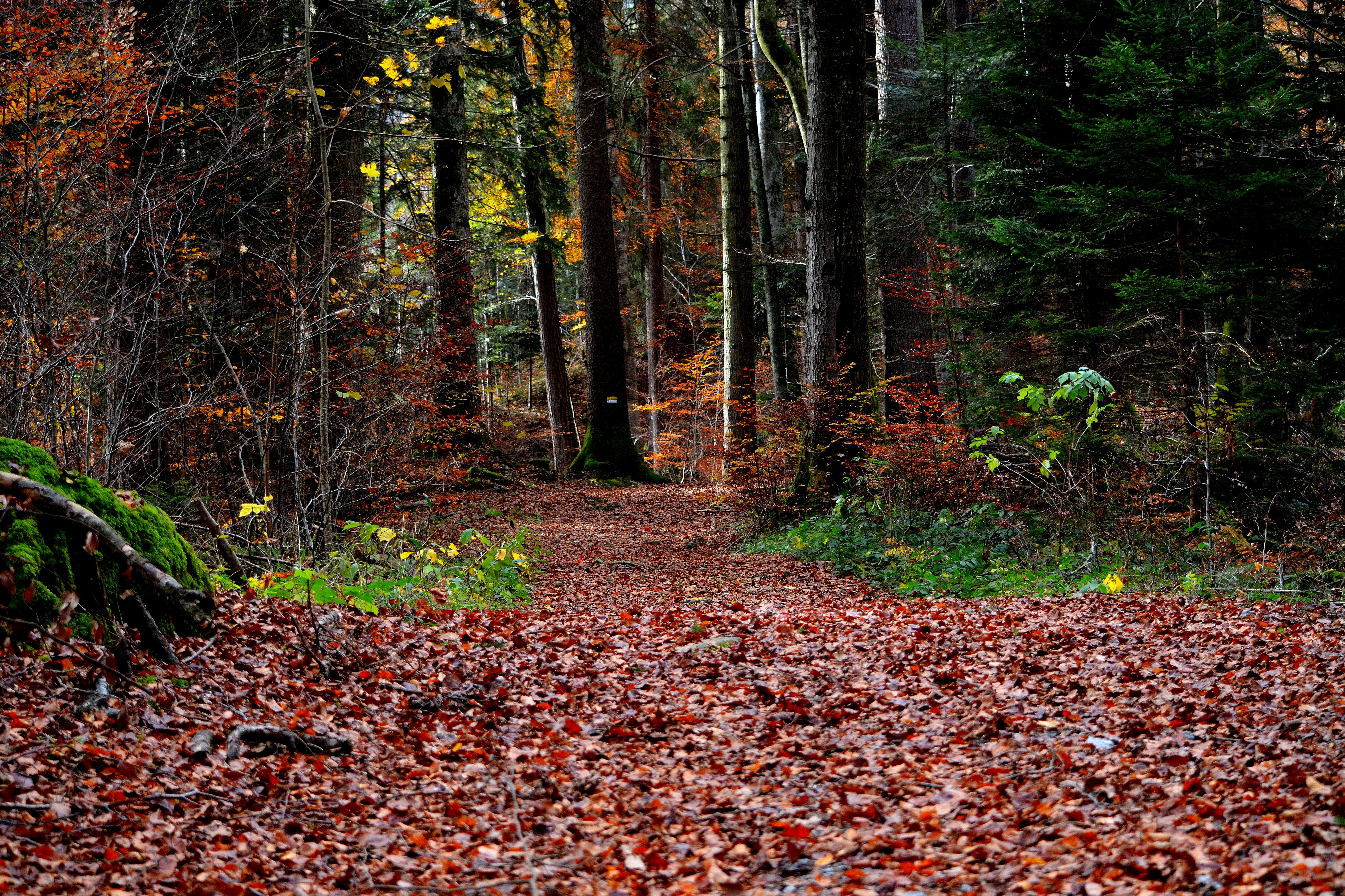 Cleanup