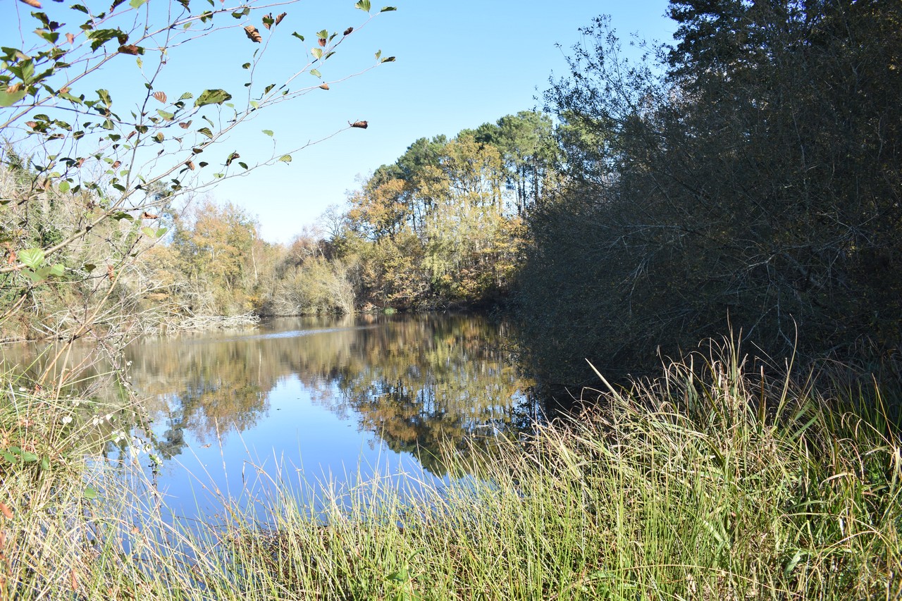 Site de Sabaille - photo 2