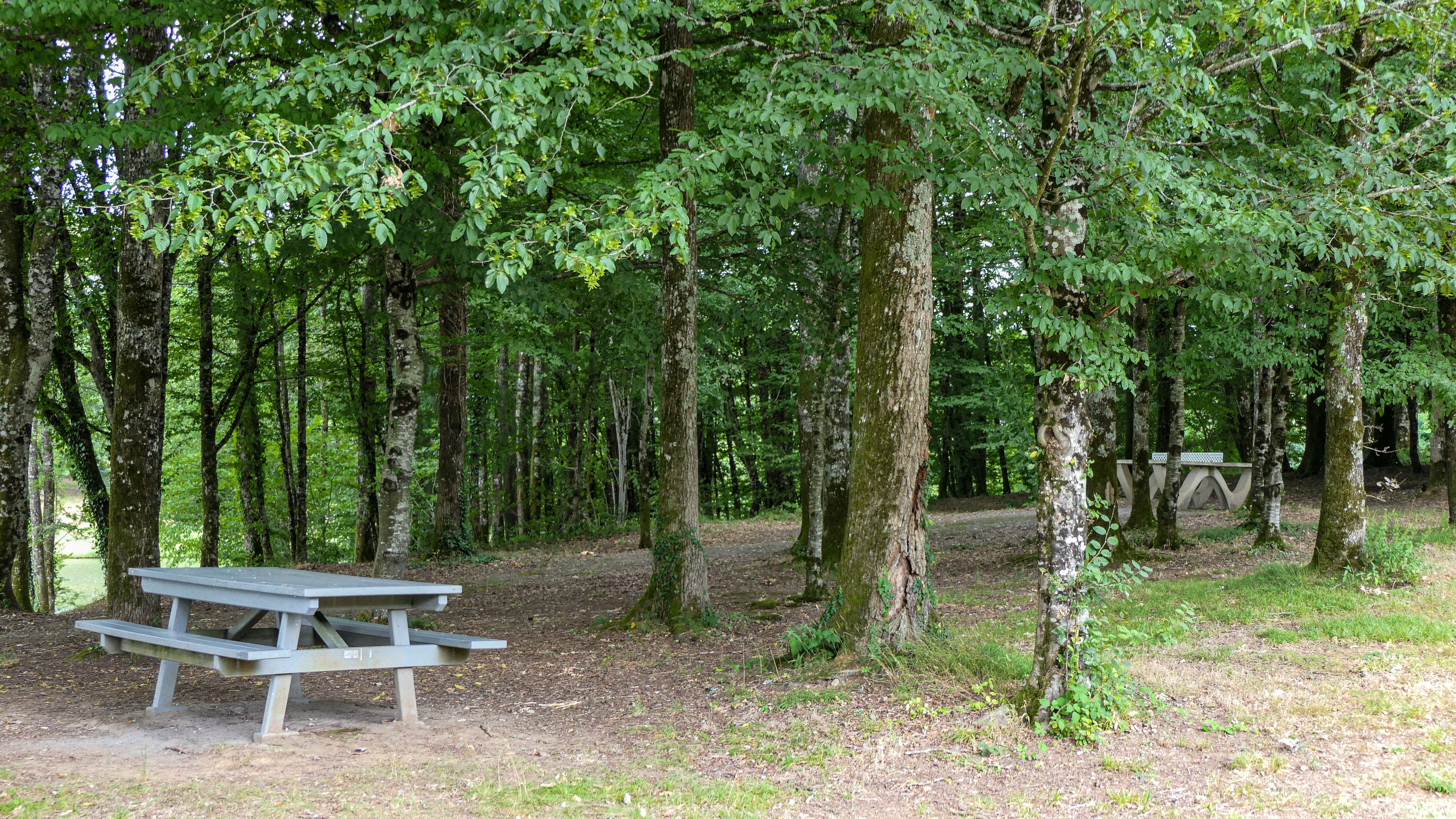 Aire de pique-nique de Saillat-sur-Vienne, Saillat-sur-Vienne - photo 4