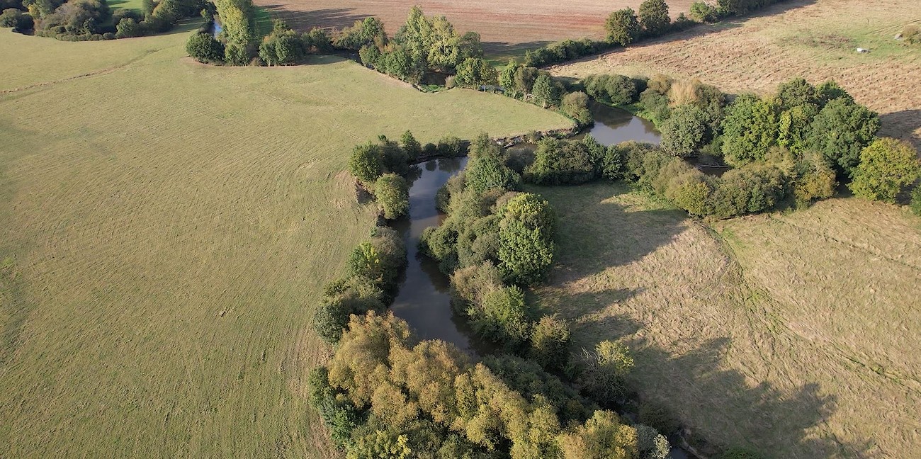Espace Naturel Sensible La Prée des Cosses, Saint-André-sur-Sèvre - photo 3