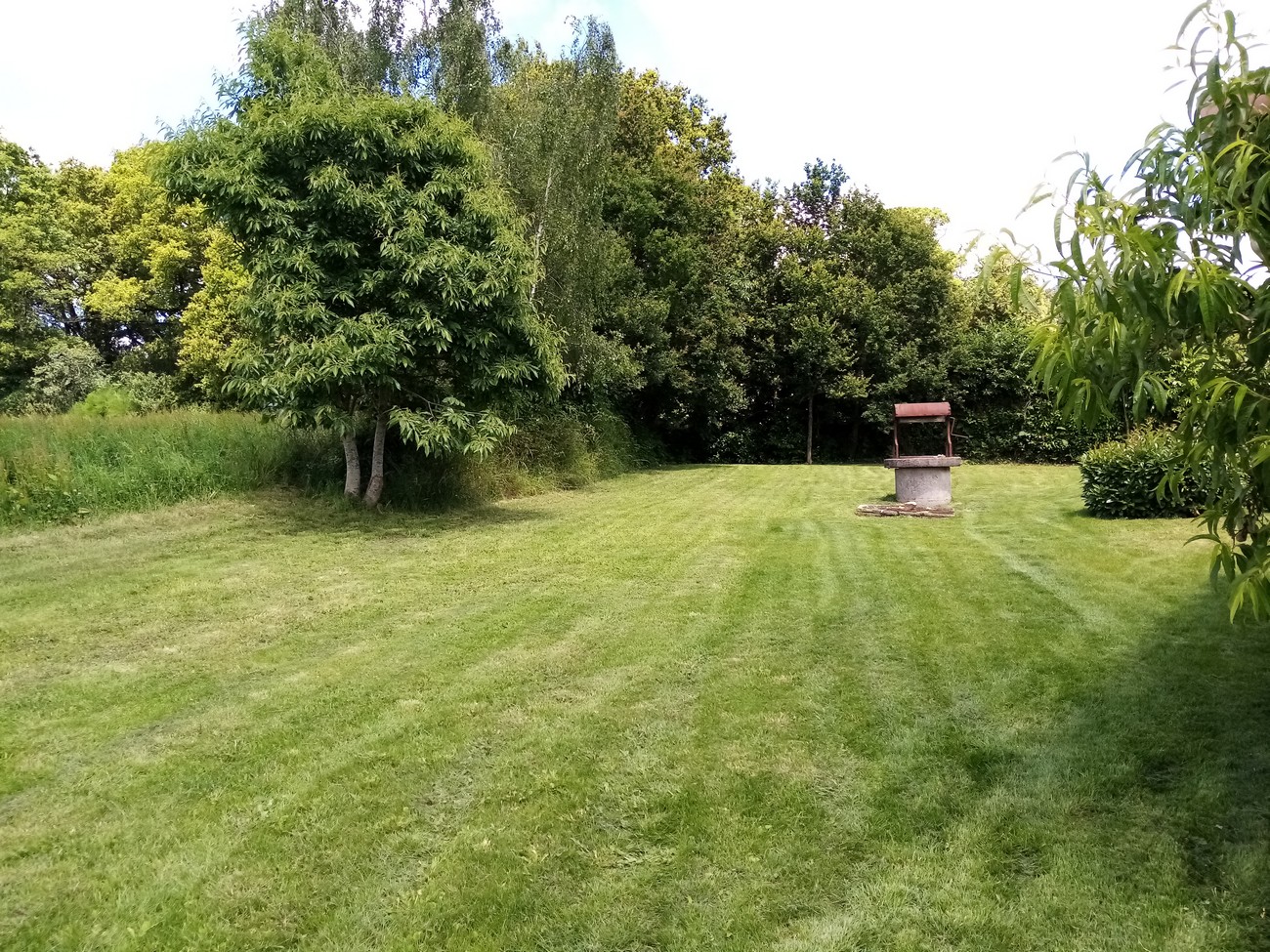 Gîte La Roche du Halais, Saint-André-sur-Sèvre - photo 3
