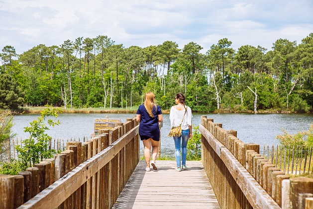 Domaine de Saint-Brice — Forêts & Parcs naturels à Bassin d'Arcachon