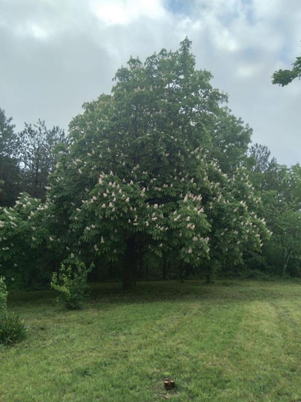 Gîte Belle Jeanne - photo 3