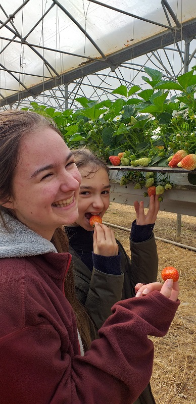 La Ferme du Laulanet