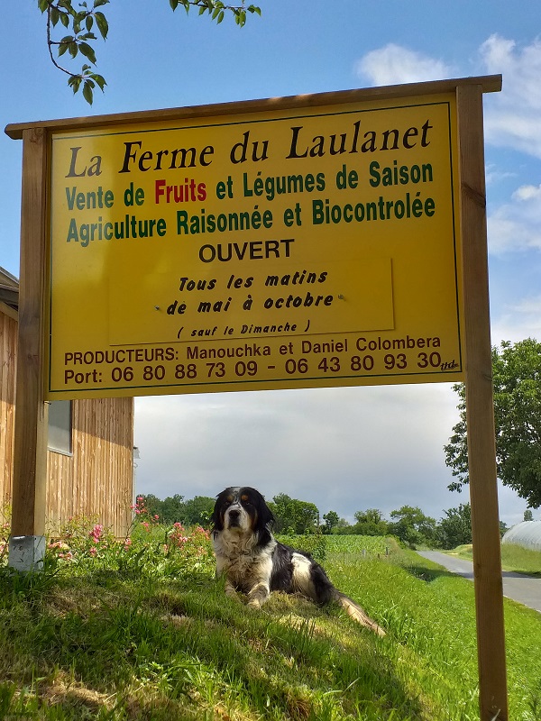 La Ferme du Laulanet - photo 3