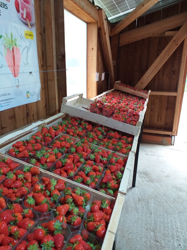 La Ferme du Laulanet - photo 2