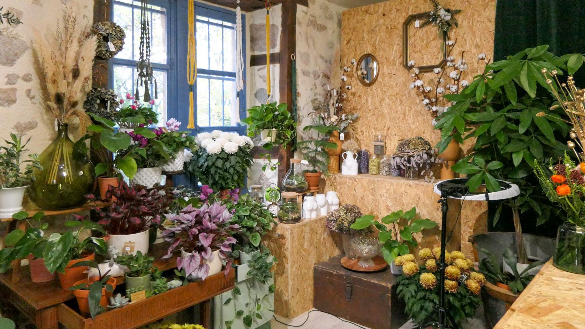 Atelier Graine de Vie - photo 5