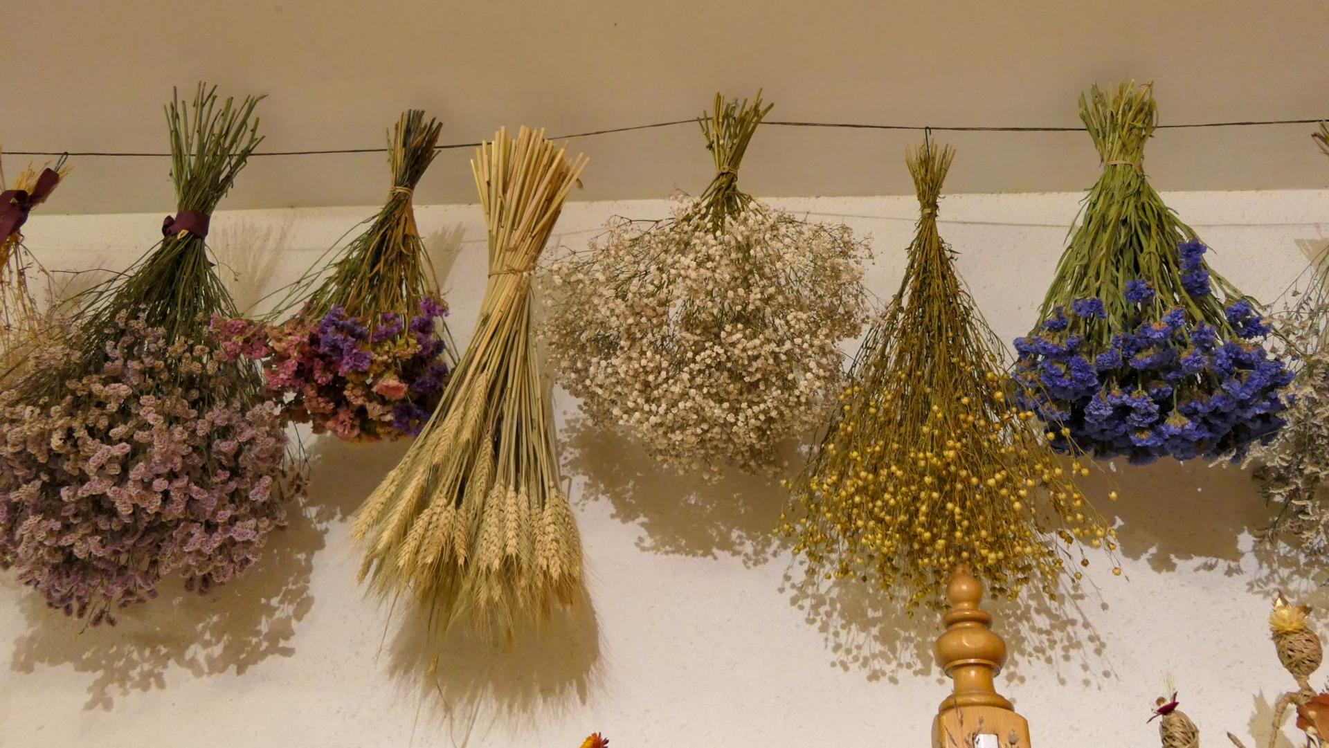 Atelier Graine de Vie - photo 2