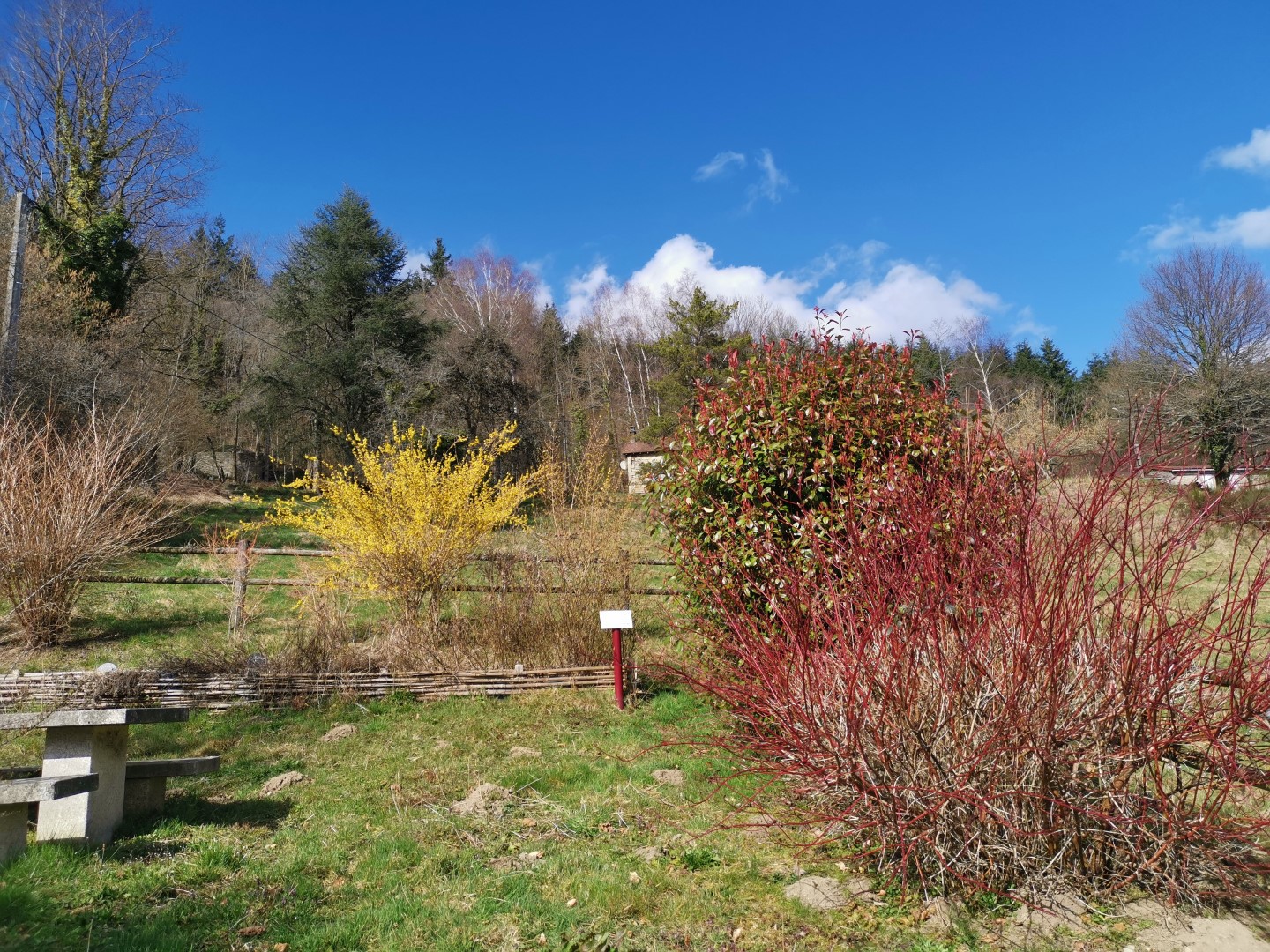 Circuit Pédestre N°57 : "Le Puy de Pétru", Saint-Pardoux-Morterolles - photo 2