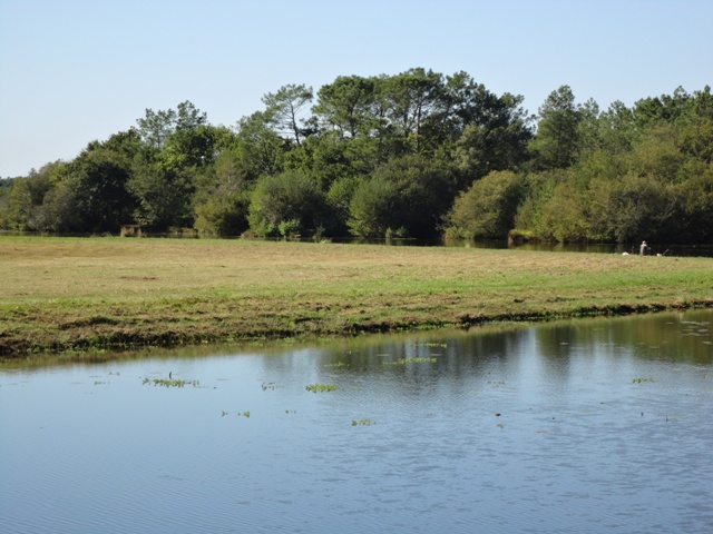 Ponton de pêche de l'étang d'Aureilhan - St Paul en Born
