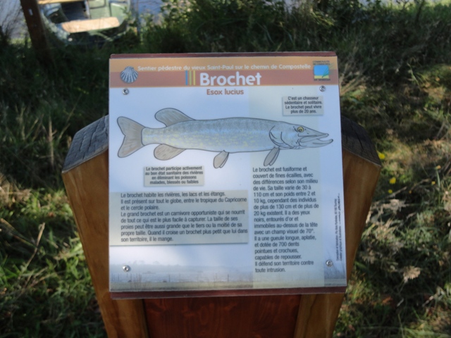 Ponton de pêche de l'étang d'Aureilhan - St Paul en Born - photo 4