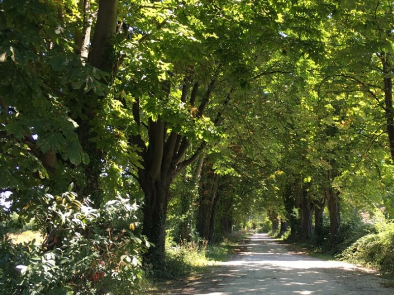 Boucle du Greseau et de Baron