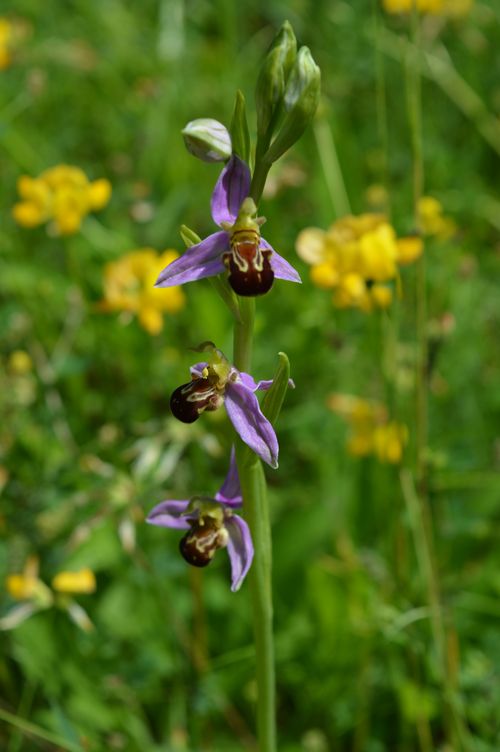 Lac du Salabert, Lacépède - photo 2