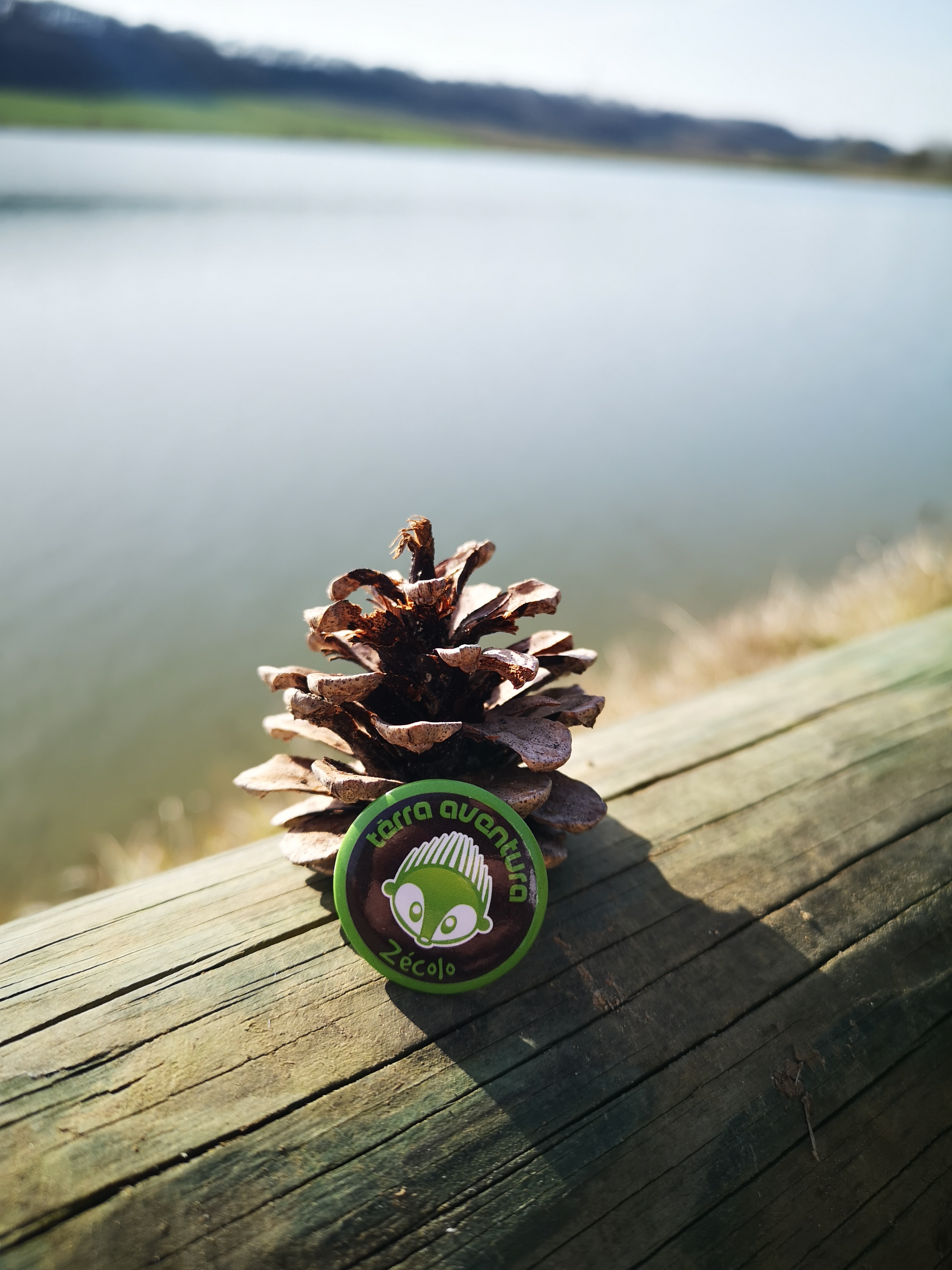 Circuit Tèrra Aventura : Héron, héron, petit patapon