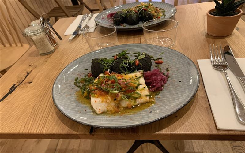 Saline Ceviche