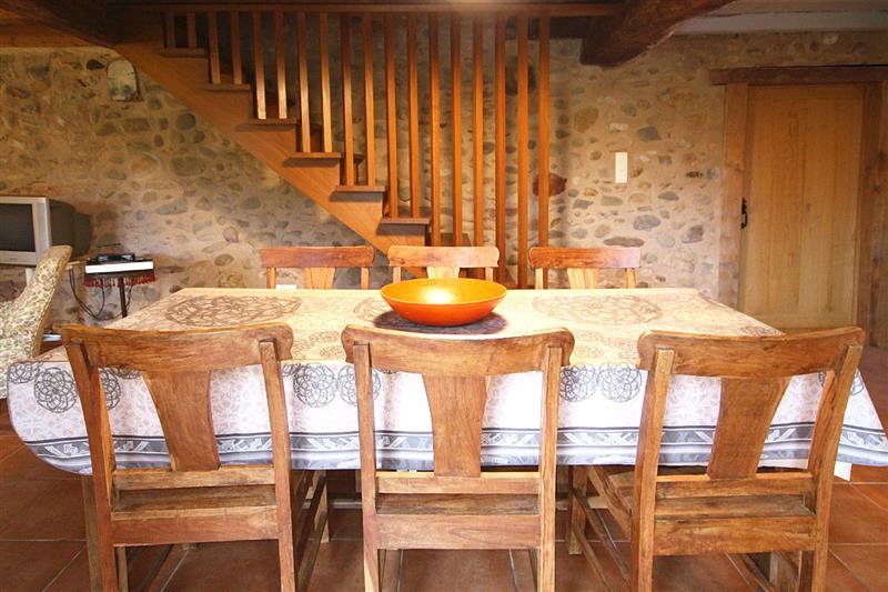 Lacotaenia - Gîte Xoriekin