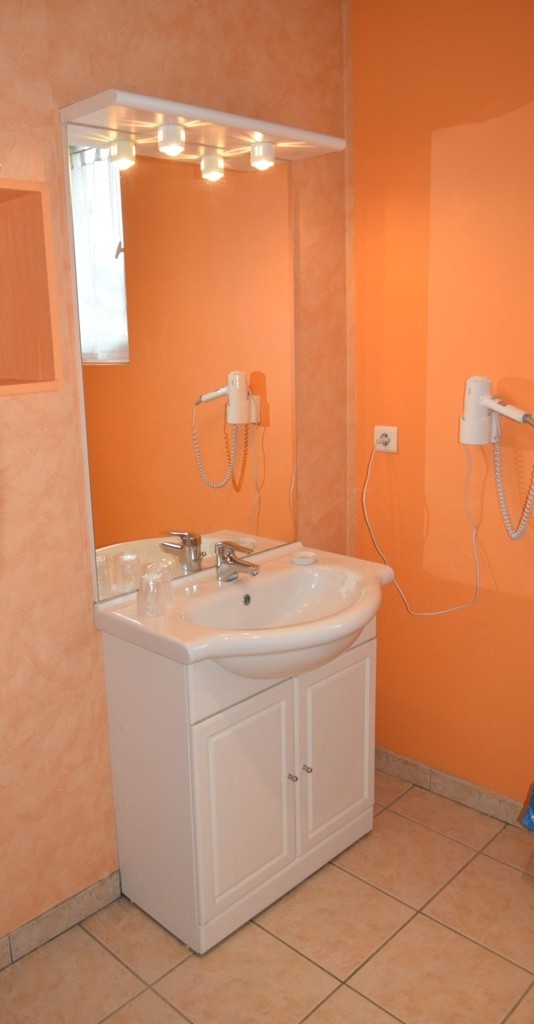 Les Hôtes de l'Isle - photo 4