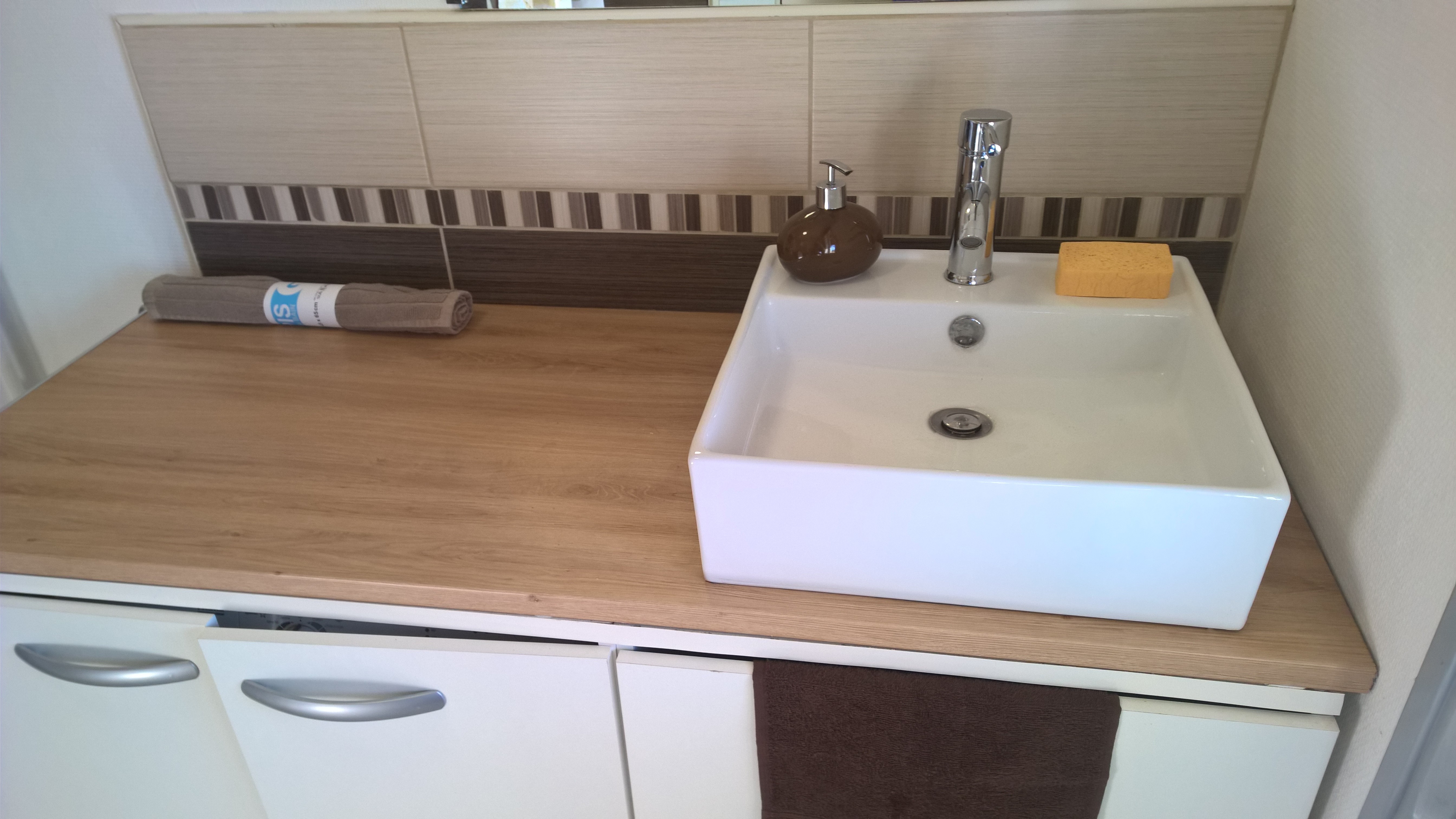 La Résinière, Escource - photo 8