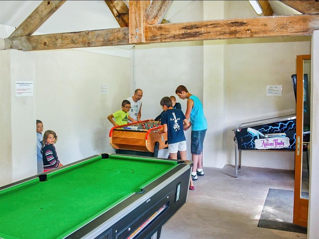 Camping APV la Pélonie, Bassillac et Auberoche - photo 10