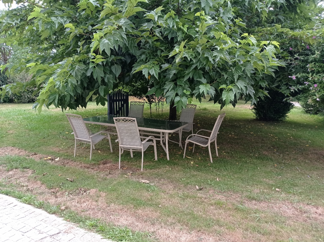 Gîte Larriberote, Peyrehorade - photo 8