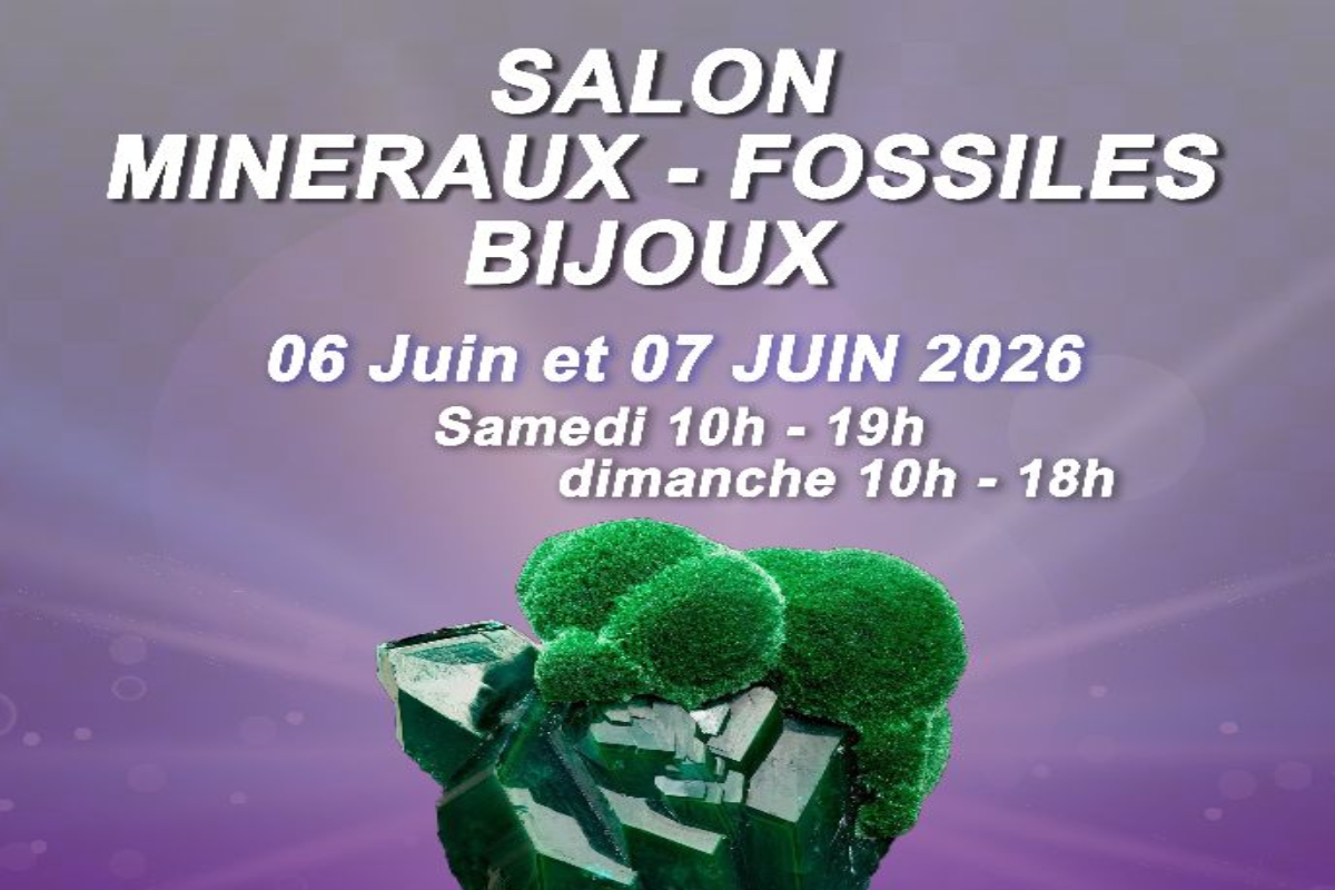 Salon minéraux fossiles — visuel événement