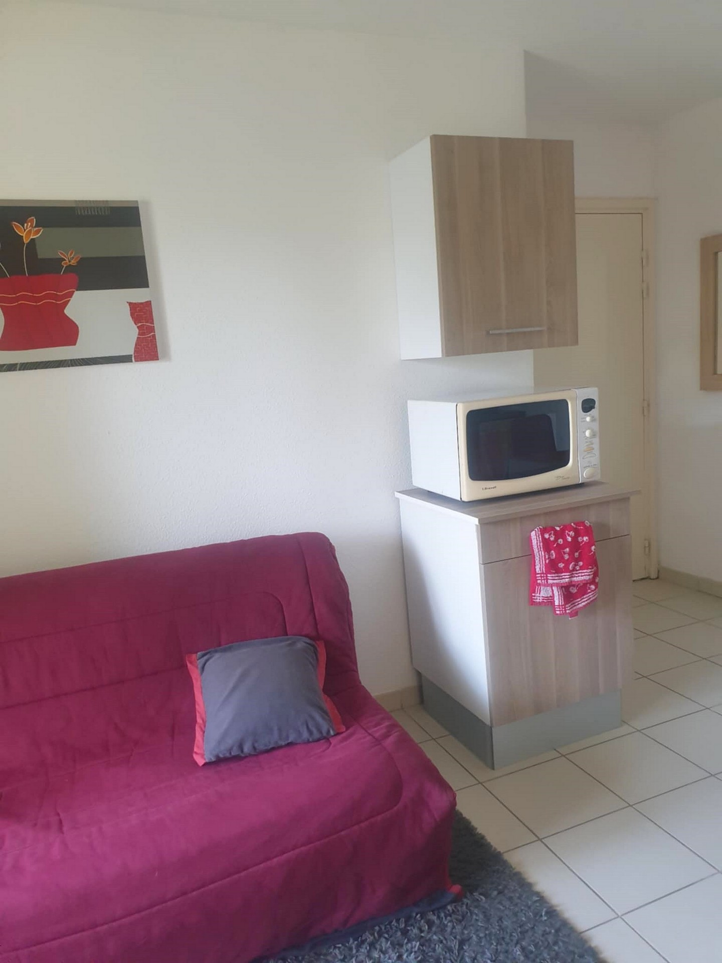 Appartement Aysit, Salies-de-Béarn - photo 6