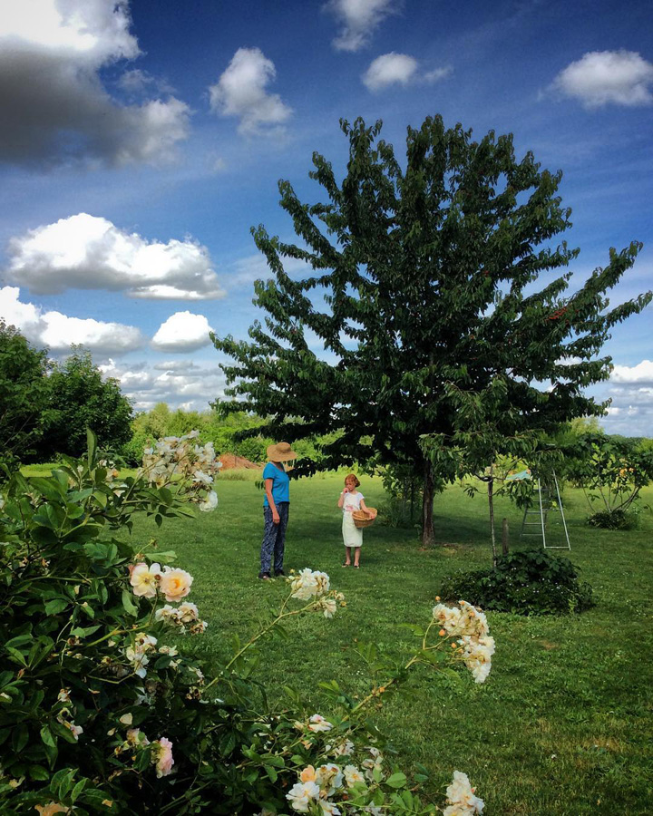 La Tenue de Fougeray - photo 5
