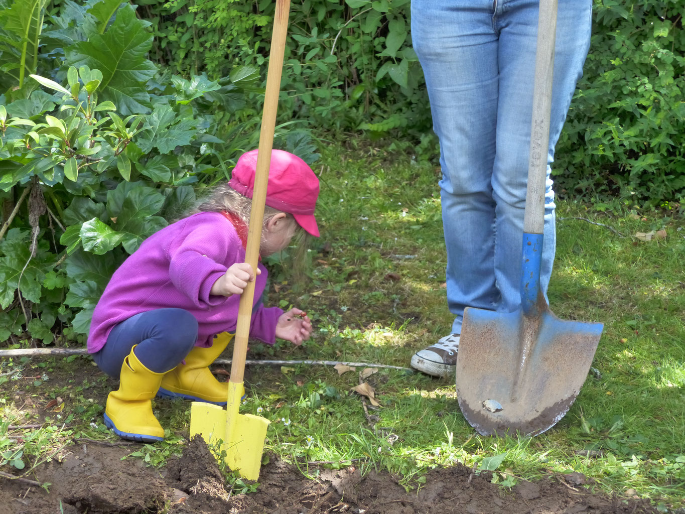 Ferme d'animation "Les p'tites mains pour demain", Saint-Auvent - photo 4