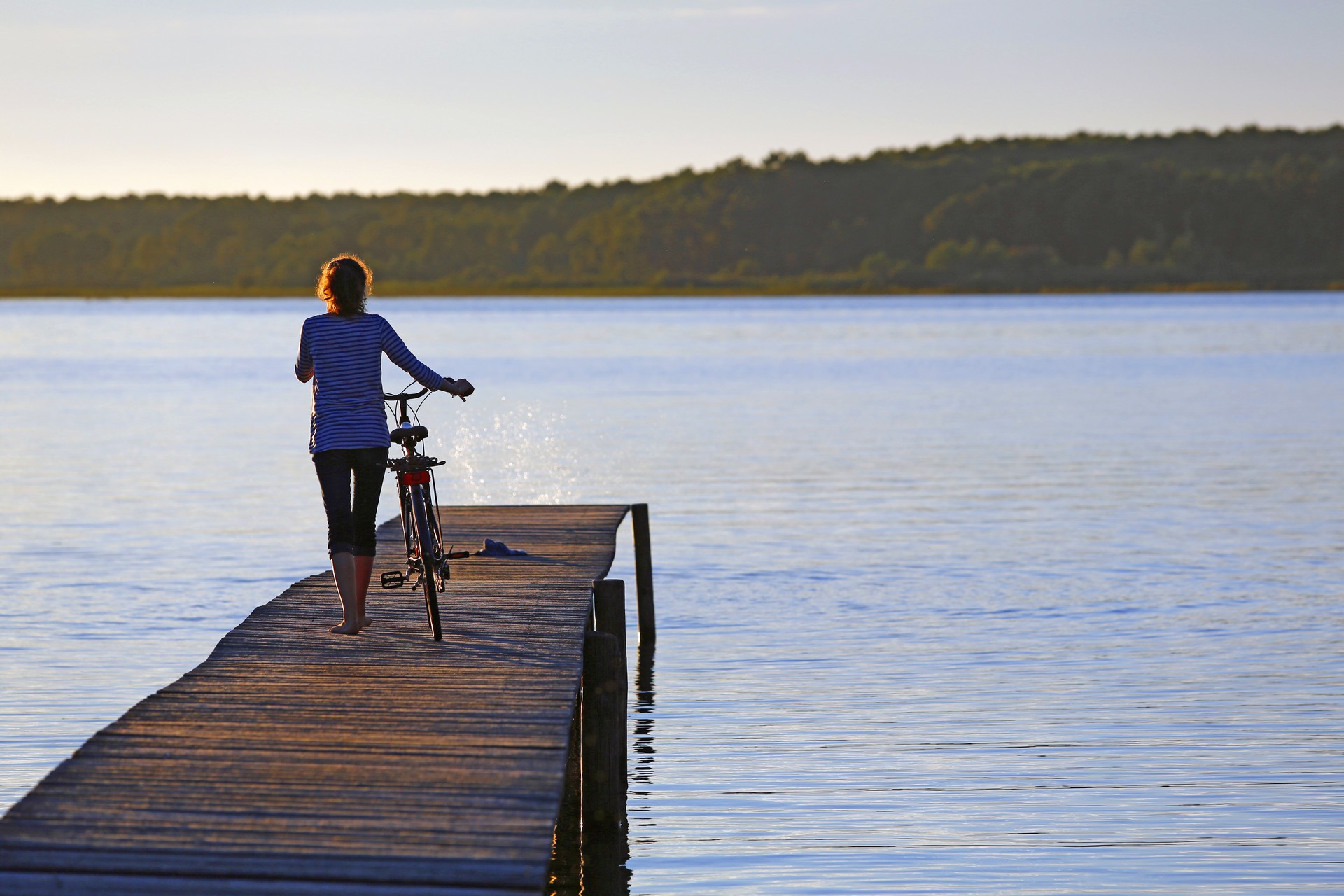 De Navarrosse à Sanguinet, Biscarrosse - photo 3